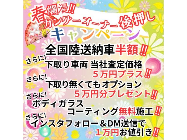 カングー ゼン　社外アルミ　ナビ　バックカメラ　フルセグ　タイベル・ウォーターポンプ新品交換　ＤＶＤ再生可　ミュージックプレイヤー接続可（2枚目）