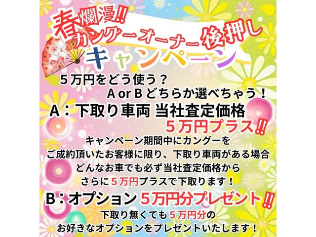 カングー ゼン　社外アルミ　ナビ　バックカメラ　フルセグ　タイベル・ウォーターポンプ新品交換　ＤＶＤ再生可　ミュージックプレイヤー接続可（32枚目）