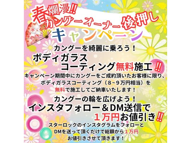 カングー ゼン　社外アルミ　ナビ　バックカメラ　フルセグ　タイベル・ウォーターポンプ新品交換　ＤＶＤ再生可　ミュージックプレイヤー接続可（33枚目）