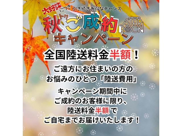 カングー クルール　限定９０台　ナビ　タイベル新品交換（32枚目）