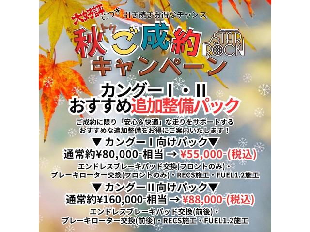 カングー クルール　限定９０台　ナビ　タイベル新品交換（34枚目）