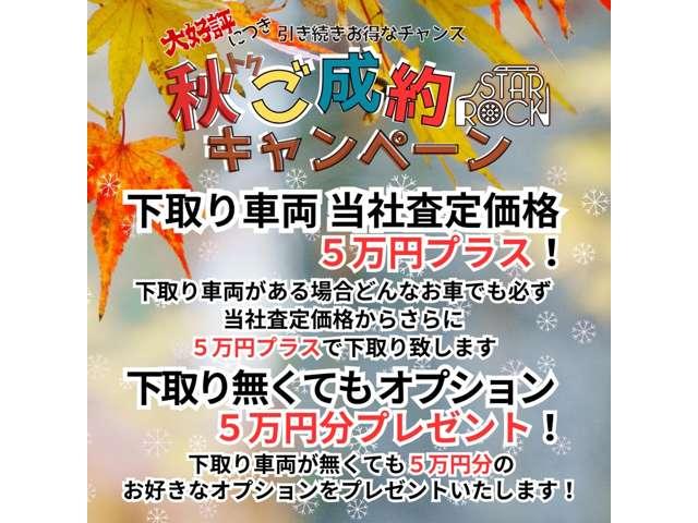 カングー ショコラ 限定30台 ナビ タイベル新品交換(33枚目)