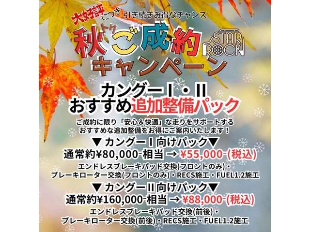 カングー ショコラ 限定30台 ナビ タイベル新品交換(34枚目)