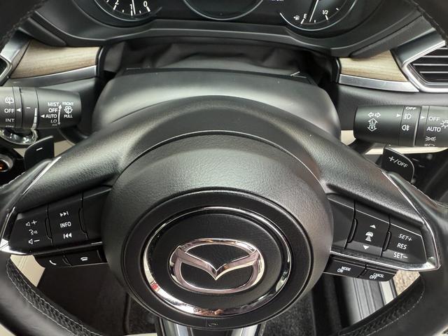 ＣＸ－８ ２５Ｔ　Ｌパッケージ　白革シート　アルパイン後席モニター　ＢＯＳＥサウンド　全方位モニター　衝突被害軽減ブレーキ　パワーバックドア　レーダークルーズコントロール　ＥＴＣ２．０　ブラインドスポットモニター　コーナーセンサー（15枚目）