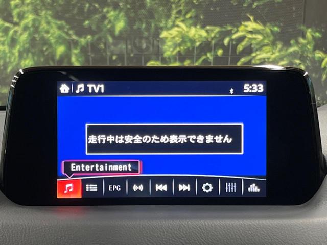 ２０Ｓ　プロアクティブ　禁煙車　純正エアロ　メーカーナビ　全周囲カメラ　フルセグＴＶ　Ｂｌｕｅｔｏｏｔｈ接続　シートヒーター　電動リアゲート　衝突被害軽減ブレーキ　オートマチックハイビーム　ＬＥＤヘッド　レーダークルーズ(33枚目)