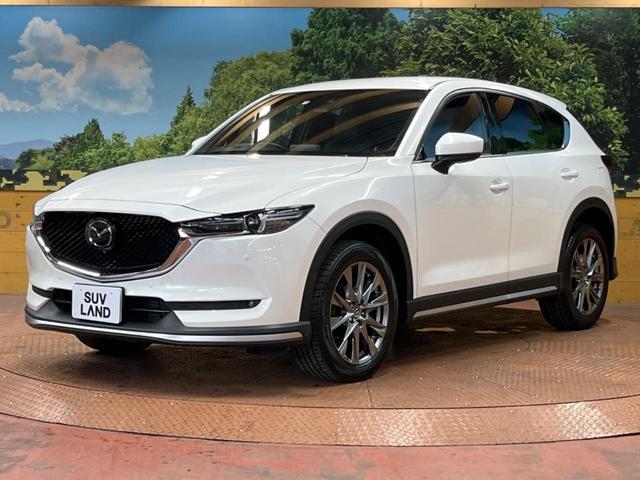 ＣＸ－５ ＸＤ　エクスクルーシブモード　禁煙車　メーカーナビ　ＢＯＳＥサウンド　全周囲カメラ　フルセグＴＶ　Ｂｌｕｅｔｏｏｔｈ接続　電動リアゲート　黒革シート　シートエアコン　全席シートヒーター　衝突被害軽減ブレーキ　レーダークルーズ（41枚目）