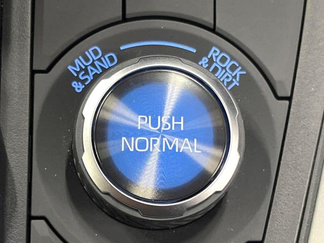 ＲＡＶ４ アドベンチャー　オフロードパッケージ　禁煙車　９型ディスプレイ　シートエアコン　セーフティセンス　レーダークルーズ　ブラインドスポットモニター　バックカメラ　ＥＴＣ　ＬＥＤヘッド　純正１８アルミ　ルーフレール　クリアランスソナー（39枚目）