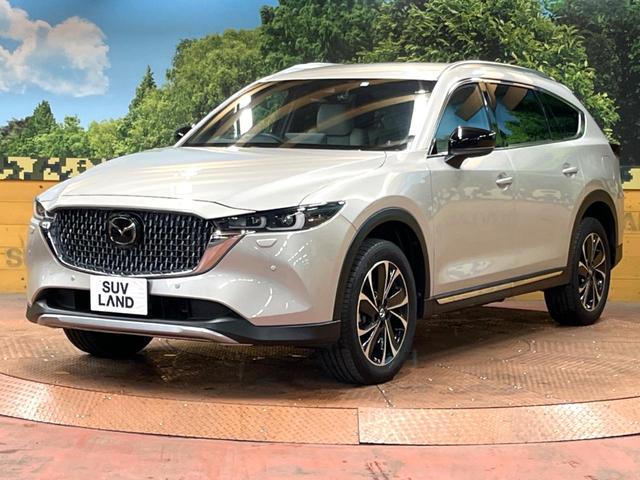ＣＸ－８ ２５Ｓ　グランドジャーニー　４ＷＤ　１０型ナビ　全周囲カメラ　６人乗り　後席ウォークスルー　ルーフレール　寒冷地仕様　禁煙車　パワーバックドア　シートヒーター　衝突軽減　レーダークルーズ　ＢＳＭ　ヘッドアップディスプレイ　ＥＴＣ（53枚目）
