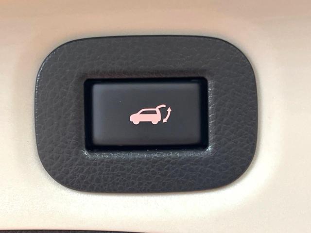 エクストレイル ２０Ｘｉ　ハイブリッド　禁煙車　メーカーナビ　全周囲カメラ　プロパイロット　シートヒーター　パワーバックドア　エマージェンシーブレーキ　フルセグ　ＬＥＤヘッド　ＥＴＣ　純正１７インチアルミ　Ｂｌｕｅｔｏｏｔｈ（46枚目）
