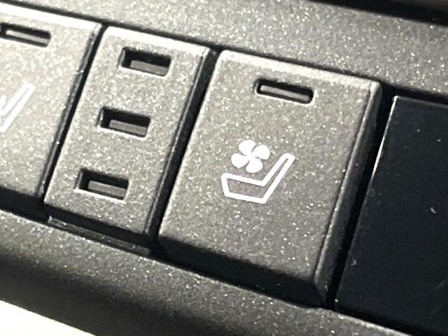 NX NX300h スパイス&シック サンルーフ 10型ナビ 全周囲カメラ 3眼LEDヘッド 禁煙車 シートエアコン パワーバックドア レクサスセーフティ レーダークルーズ ブラインドスポットモニター 純正18アルミ ETC2.0(6枚目)