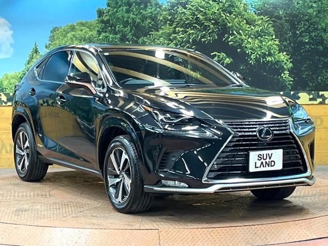 NX NX300h スパイス&シック サンルーフ 10型ナビ 全周囲カメラ 3眼LEDヘッド 禁煙車 シートエアコン パワーバックドア レクサスセーフティ レーダークルーズ ブラインドスポットモニター 純正18アルミ ETC2.0(16枚目)