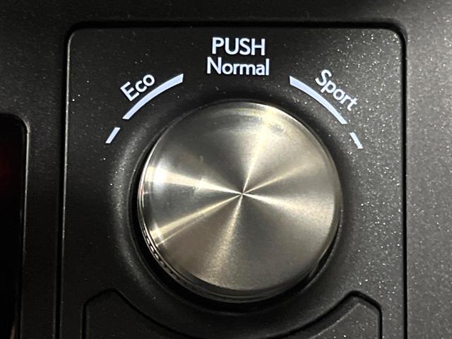 NX NX300h スパイス&シック サンルーフ 10型ナビ 全周囲カメラ 3眼LEDヘッド 禁煙車 シートエアコン パワーバックドア レクサスセーフティ レーダークルーズ ブラインドスポットモニター 純正18アルミ ETC2.0(27枚目)