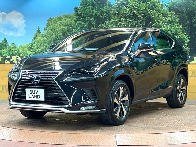 NX NX300h スパイス&シック サンルーフ 10型ナビ 全周囲カメラ 3眼LEDヘッド 禁煙車 シートエアコン パワーバックドア レクサスセーフティ レーダークルーズ ブラインドスポットモニター 純正18アルミ ETC2.0(60枚目)