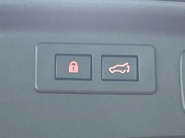 フォレスター アドバンス サンルーフ ダイアトーン8型ナビ 視界拡張 禁煙車 茶革シート デジタルインナーミラー サイドカメラ 100V電源 レーダークルーズ 電動リアゲート 全席シートヒーター コーナーセンサー ETC(30枚目)