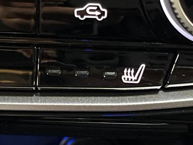 フォレスター アドバンス サンルーフ ダイアトーン8型ナビ 視界拡張 禁煙車 茶革シート デジタルインナーミラー サイドカメラ 100V電源 レーダークルーズ 電動リアゲート 全席シートヒーター コーナーセンサー ETC(46枚目)