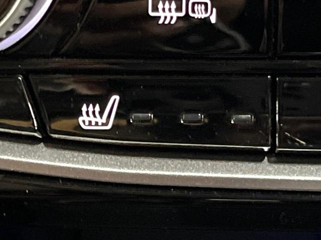 フォレスター アドバンス サンルーフ ダイアトーン8型ナビ 視界拡張 禁煙車 茶革シート デジタルインナーミラー サイドカメラ 100V電源 レーダークルーズ 電動リアゲート 全席シートヒーター コーナーセンサー ETC(47枚目)