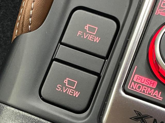 フォレスター アドバンス サンルーフ ダイアトーン8型ナビ 視界拡張 禁煙車 茶革シート デジタルインナーミラー サイドカメラ 100V電源 レーダークルーズ 電動リアゲート 全席シートヒーター コーナーセンサー ETC(49枚目)