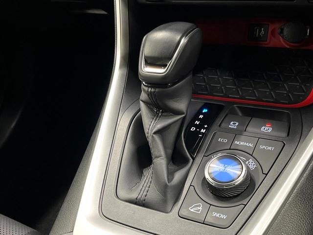 RAV4 アドベンチャー オフロードパッケージII 10型ディスプレイ 全周囲カメラ パワーバックドア シートエアコン 寒冷地仕様 禁煙車 19インチAW デジタルインナーミラー セーフティセンス レーダークルーズ ブラインドスポットモニター ETC(31枚目)