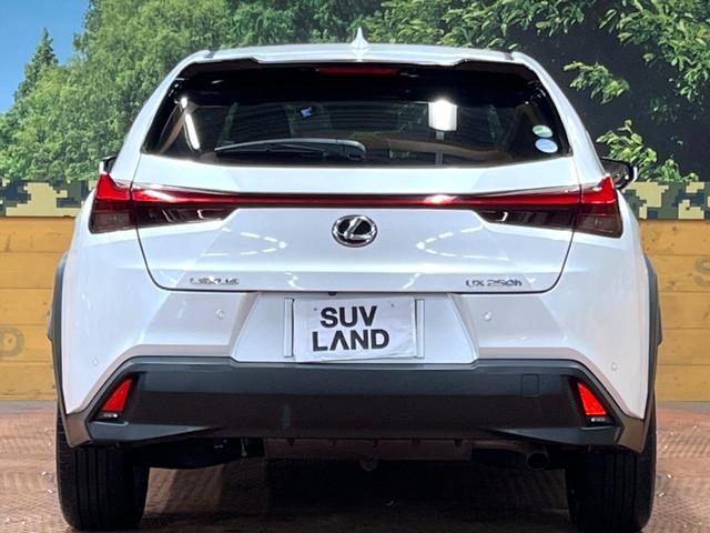 UX UX250h バージョンL 禁煙車 10型ナビ パワーバックドア シートエアコン 3眼LEDヘッド 黒革シート レクサスセーフティ レーダークルーズ 純正18アルミ パワーシート バックカメラ ETC2.0 フルセグTV(15枚目)