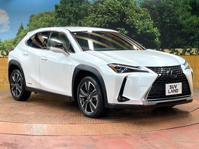 UX UX250h バージョンL 禁煙車 10型ナビ パワーバックドア シートエアコン 3眼LEDヘッド 黒革シート レクサスセーフティ レーダークルーズ 純正18アルミ パワーシート バックカメラ ETC2.0 フルセグTV(16枚目)