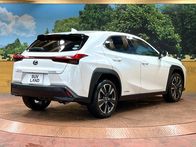 UX UX250h バージョンL 禁煙車 10型ナビ パワーバックドア シートエアコン 3眼LEDヘッド 黒革シート レクサスセーフティ レーダークルーズ 純正18アルミ パワーシート バックカメラ ETC2.0 フルセグTV(17枚目)