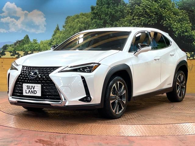 UX UX250h バージョンL 禁煙車 10型ナビ パワーバックドア シートエアコン 3眼LEDヘッド 黒革シート レクサスセーフティ レーダークルーズ 純正18アルミ パワーシート バックカメラ ETC2.0 フルセグTV(51枚目)