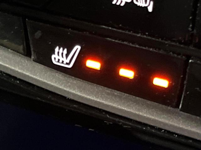 フォレスター XT-エディション DIATONEナビ 視界拡張 パワーバックドア ブラックルーフレール 禁煙車 スマートルームミラー シートヒーター ドライバーモニタリングシステム バックカメラ ETC 純正18アルミ フルセグTV(34枚目)