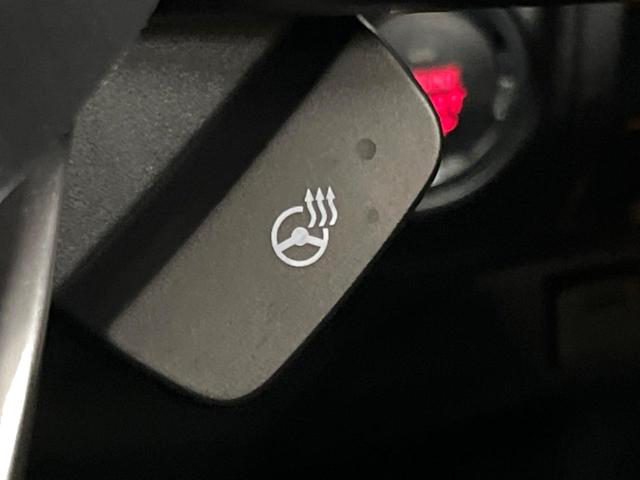 フォレスター XT-エディション DIATONEナビ 視界拡張 パワーバックドア ブラックルーフレール 禁煙車 スマートルームミラー シートヒーター ドライバーモニタリングシステム バックカメラ ETC 純正18アルミ フルセグTV(39枚目)