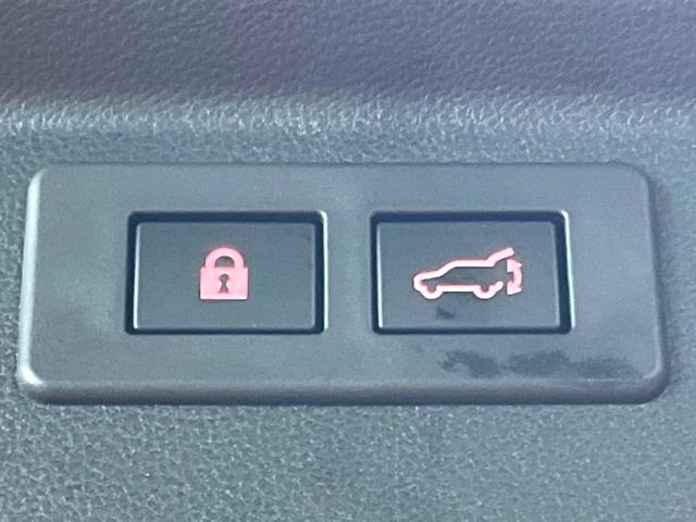 フォレスター XT-エディション DIATONEナビ 視界拡張 パワーバックドア ブラックルーフレール 禁煙車 スマートルームミラー シートヒーター ドライバーモニタリングシステム バックカメラ ETC 純正18アルミ フルセグTV(54枚目)