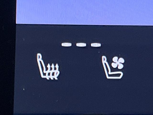 ヴェルファイアハイブリッド Z プレミア 後席モニター ガラスルーフ 14型ナビ 両側電動ドア 全周囲カメラ セーフティセンス レーダークルーズ 禁煙車 レザーシート レーダークルーズ シートベンチレーション LEDヘッド 100V電源(24枚目)