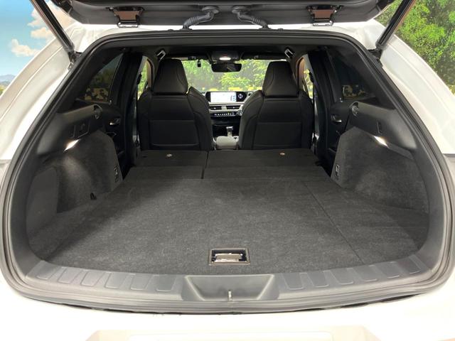 UX UX250h Fスポーツ 10型ナビ 全周囲カメラ レーダークルーズ セーフティシステム ブラインドスポットモニター 禁煙車 パワーバックドア シートベンチレーション レザーシート パワーシート LEDヘッド ETC2.0(11枚目)