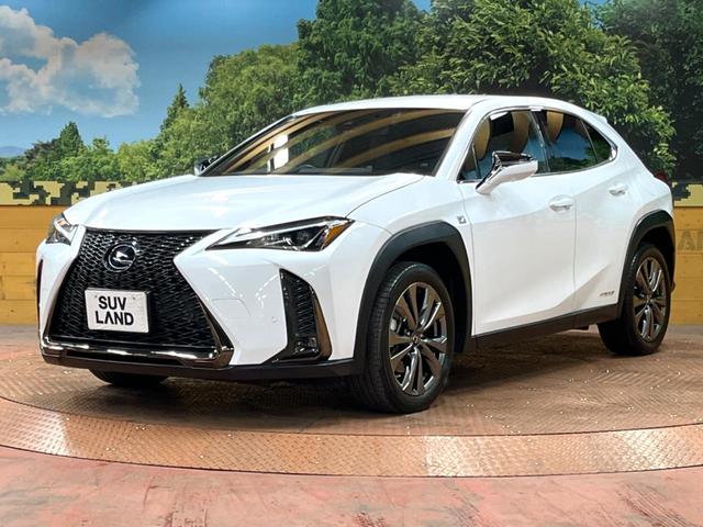 UX UX250h Fスポーツ 10型ナビ 全周囲カメラ レーダークルーズ セーフティシステム ブラインドスポットモニター 禁煙車 パワーバックドア シートベンチレーション レザーシート パワーシート LEDヘッド ETC2.0(17枚目)