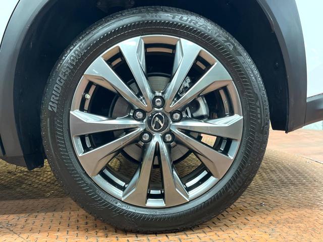 UX UX250h Fスポーツ 10型ナビ 全周囲カメラ レーダークルーズ セーフティシステム ブラインドスポットモニター 禁煙車 パワーバックドア シートベンチレーション レザーシート パワーシート LEDヘッド ETC2.0(29枚目)