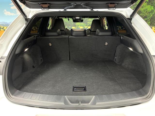 UX UX250h Fスポーツ 10型ナビ 全周囲カメラ レーダークルーズ セーフティシステム ブラインドスポットモニター 禁煙車 パワーバックドア シートベンチレーション レザーシート パワーシート LEDヘッド ETC2.0(31枚目)