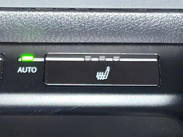 UX UX250h Fスポーツ 10型ナビ 全周囲カメラ レーダークルーズ セーフティシステム ブラインドスポットモニター 禁煙車 パワーバックドア シートベンチレーション レザーシート パワーシート LEDヘッド ETC2.0(41枚目)