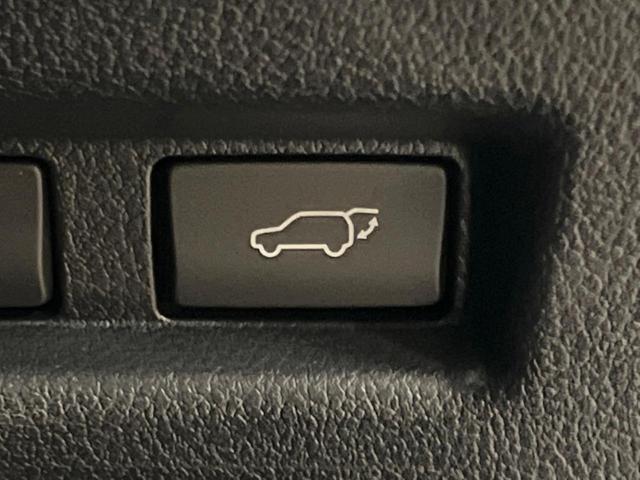 UX UX250h Fスポーツ 10型ナビ 全周囲カメラ レーダークルーズ セーフティシステム ブラインドスポットモニター 禁煙車 パワーバックドア シートベンチレーション レザーシート パワーシート LEDヘッド ETC2.0(57枚目)