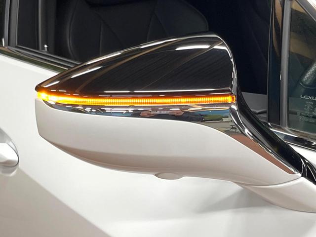 UX UX250h Fスポーツ 10型ナビ 全周囲カメラ レーダークルーズ セーフティシステム ブラインドスポットモニター 禁煙車 パワーバックドア シートベンチレーション レザーシート パワーシート LEDヘッド ETC2.0(62枚目)