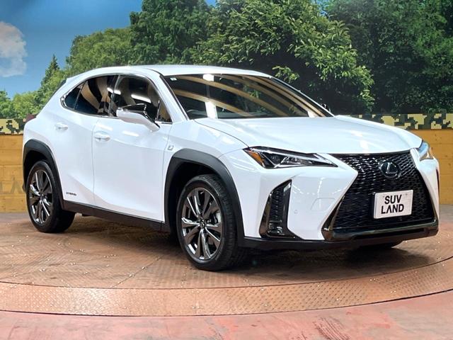 UX UX250h Fスポーツ 10型ナビ 全周囲カメラ レーダークルーズ セーフティシステム ブラインドスポットモニター 禁煙車 パワーバックドア シートベンチレーション レザーシート パワーシート LEDヘッド ETC2.0(63枚目)