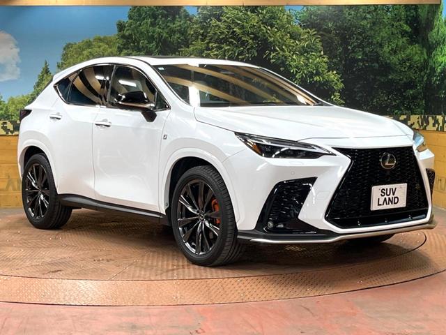 NX NX350h Fスポーツ サンルーフ 14型ナビ 全周囲カメラ デジタルインナーミラー 3眼LEDヘッド 全席シートヒーター セーフティシステム レーダークルーズ 禁煙車 電動リアゲート レザーシート パワーシート ETC(60枚目)