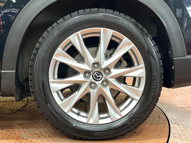 ＣＸ－８ ＸＤプロアクティブ　後席モニター　禁煙　コネクトナビ　フルセグＴＶ　全周囲カメラ　レーダークルーズ　コーナーセンサー　衝突軽減　　パワーシート　シートヒーター　ステアリングヒーター　純正１９インチ　ＬＥＤヘッド（56枚目）