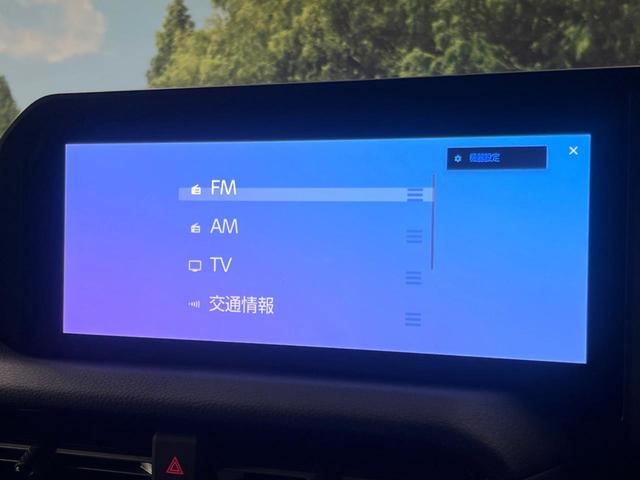 ランドクルーザー250 VX モデリスタ サンルーフ 12型ナビ 全周囲カメラ 丸目LEDヘッド 禁煙車 衝突軽減 レーダークルーズ 電動リアゲート レザーシート シートエアコン パワーシート コーナーセンサー ETC(34枚目)