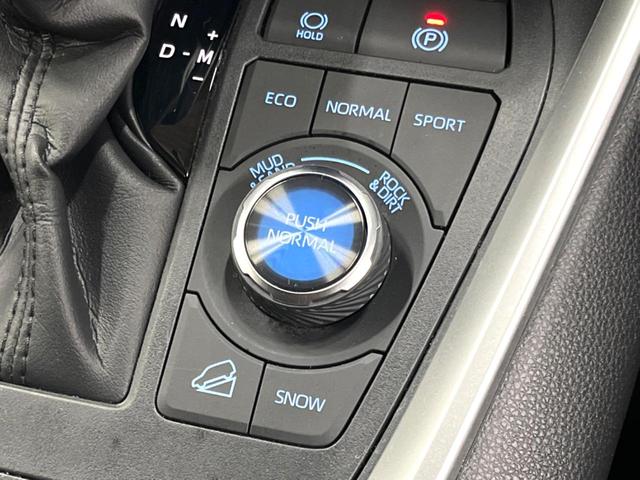 RAV4 アドベンチャー 9型ナビ 全周囲カメラ パワーバックドア シートエアコン 禁煙車 セーフティセンス レーダークルーズ ブラインドスポットモニター フルセグTV 純正19アルミ ETC2.0 クリアランスソナー(44枚目)