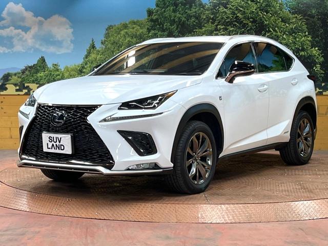 NX NX300h Fスポーツ 4WD 10型ナビ 全周囲カメラ ルーフレール 3眼LEDヘッド 禁煙車 黒革シート パワーバックドア シートエアコン レクサスセーフティ レーダークルーズ BSM クリアランスソナー 純正18アルミ(63枚目)