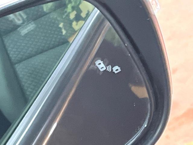 セレナ e-パワー ハイウェイスターV 後席モニター セーフティパックB 10型ナビ 全周囲カメラ プロパイロット 防水シート 禁煙車 両側パワスラ デジタルインナーミラー 衝突軽減 ブラインドスポットモニター 純正15アルミ LEDヘッド(51枚目)