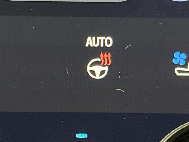 アルファード Z 左右独立ムーンルーフ 後席モニター 14型ナビ 全周囲カメラ 禁煙車 デジタルインナーミラー ユニバーサルステップ シートベンチレーション 両側電動ドア パワーバックドア 純正18インチアルミ(41枚目)