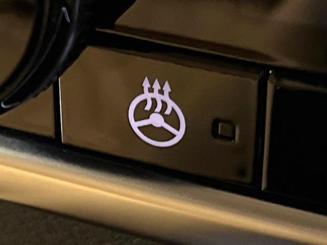 エクストレイル G e-4ORCE 禁煙車 12型ナビ 全周囲カメラ インテリジェントルームミラー タンナッパ革シート パワーバックドア プロパイロット AC100V電源 シートヒーター ステアリングヒーター シルバールーフレール(29枚目)