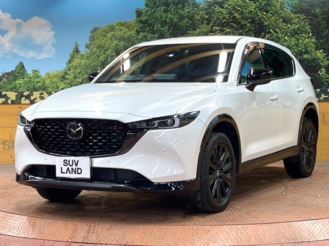 ＣＸ－５ ＸＤ　スポーツアピアランス　１０型ナビ　全周囲カメラ　衝突軽減システム　レーダークルーズ　フルセグＴＶ　ブラインドスポットモニター　パワーバックドア　レザーシート　シートヒーター　パワーシート　ＬＥＤヘッド　クリアランスソナー（62枚目）