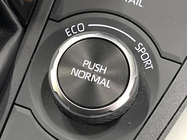 ＲＡＶ４ ハイブリッドＸ　４ＷＤ　禁煙車　８型ディスプレイ　バックカメラ　フルセグ　ＡＣ１００Ｖ電源　セーフティセンス　レーダークルーズ　クリアランスソナー　純正１７アルミ　ＬＥＤヘッド　ルーフレール　ＥＴＣ　オートハイビーム（26枚目）