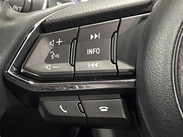 ＣＸ－８ ２５Ｓ　プロアクティブ　ＢＯＳＥ　禁煙車　マツダコネクトナビ　全周囲カメラ　ブラインドスポットモニター　クリアランスソナー　シートヒーター　レーダークルーズ　衝突軽減　ステアリングヒーター　ＬＥＤヘッド　純正１９インチアルミ（32枚目）