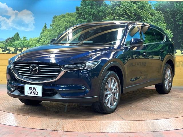 ＣＸ－８ ２５Ｓ　プロアクティブ　ＢＯＳＥ　禁煙車　マツダコネクトナビ　全周囲カメラ　ブラインドスポットモニター　クリアランスソナー　シートヒーター　レーダークルーズ　衝突軽減　ステアリングヒーター　ＬＥＤヘッド　純正１９インチアルミ（62枚目）